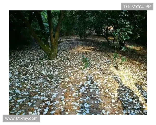 一开始我以为,世界不过如此,直到…… 一开始我以为,世界不过如此,直到……