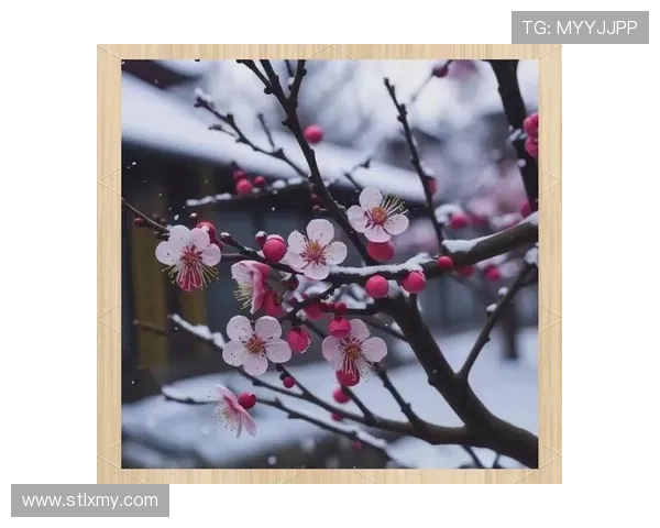 《爱情需要奇迹》：当缘分悄然降临，奇迹便随之绽放