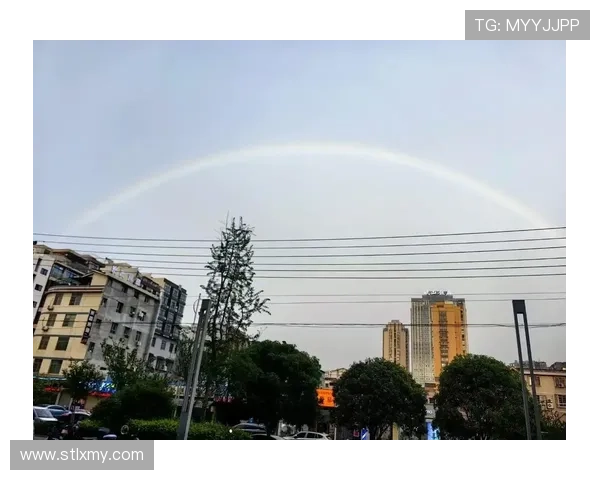 彩虹的对面：遇见另一个自己